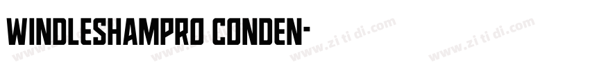 windleshampro conden字体转换